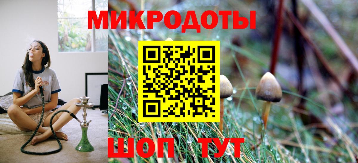 Псилоцибиновые грибы Cubensis Гуково
